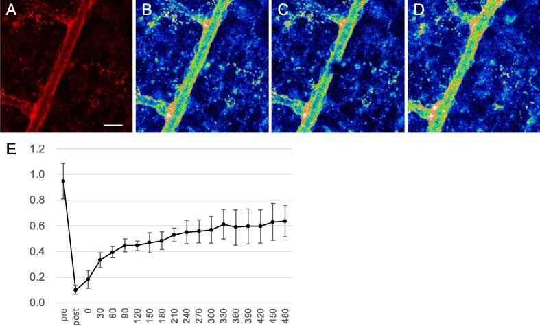 https://cdn.ncbi.nlm.nih.gov/pmc/blobs/53d0/10149278/eb6e256dff58/gr8.jpg