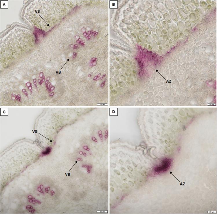 https://cdn.ncbi.nlm.nih.gov/pmc/blobs/53d1/7921299/388a46440ecb/eraa553f0001.jpg