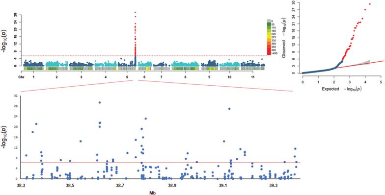 https://cdn.ncbi.nlm.nih.gov/pmc/blobs/53d1/7921299/4b120471859d/eraa553f0004.jpg