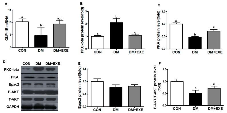 https://cdn.ncbi.nlm.nih.gov/pmc/blobs/53d2/6427815/873b32c28aee/ijerph-16-00830-g003.jpg