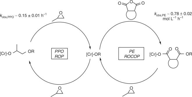 https://cdn.ncbi.nlm.nih.gov/pmc/blobs/53d2/6572807/8ae1fb705940/41467_2019_10481_Fig2_HTML.jpg