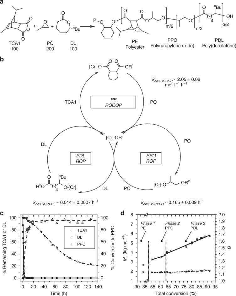 https://cdn.ncbi.nlm.nih.gov/pmc/blobs/53d2/6572807/958f01c01084/41467_2019_10481_Fig5_HTML.jpg