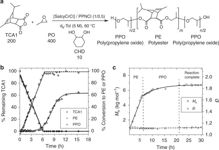 https://cdn.ncbi.nlm.nih.gov/pmc/blobs/53d2/6572807/a6ba3127748f/41467_2019_10481_Fig1_HTML.jpg