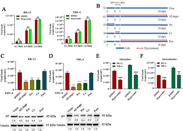 https://cdn.ncbi.nlm.nih.gov/pmc/blobs/53d3/11019850/9bc9ffb5331b/jvi.00159-24.f005.jpg