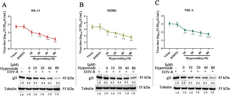 https://cdn.ncbi.nlm.nih.gov/pmc/blobs/53d3/11019850/f2fa1ccf13b6/jvi.00159-24.f002.jpg