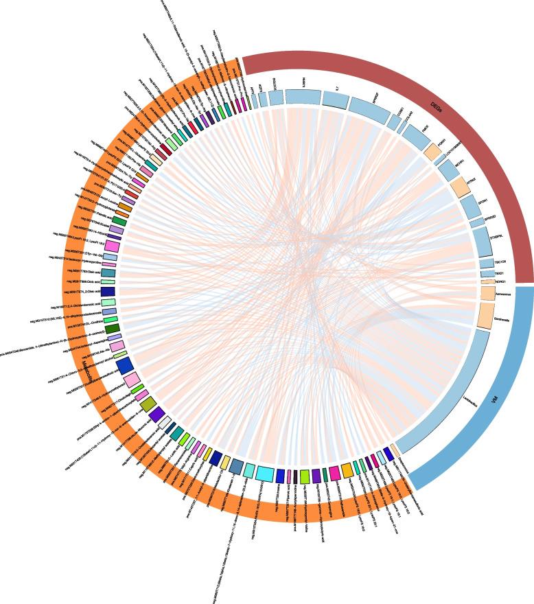 https://cdn.ncbi.nlm.nih.gov/pmc/blobs/53d3/11963661/c2a87c7b62b7/12866_2025_3922_Fig3_HTML.jpg