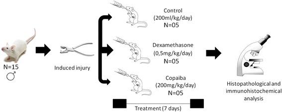 https://cdn.ncbi.nlm.nih.gov/pmc/blobs/53d7/5471965/ed75d1110bb3/12906_2017_1820_Fig1_HTML.jpg