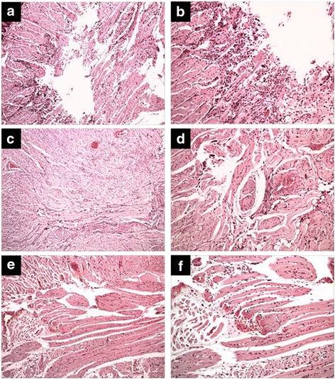 https://cdn.ncbi.nlm.nih.gov/pmc/blobs/53d7/5471965/ff1e18c5af96/12906_2017_1820_Fig2_HTML.jpg