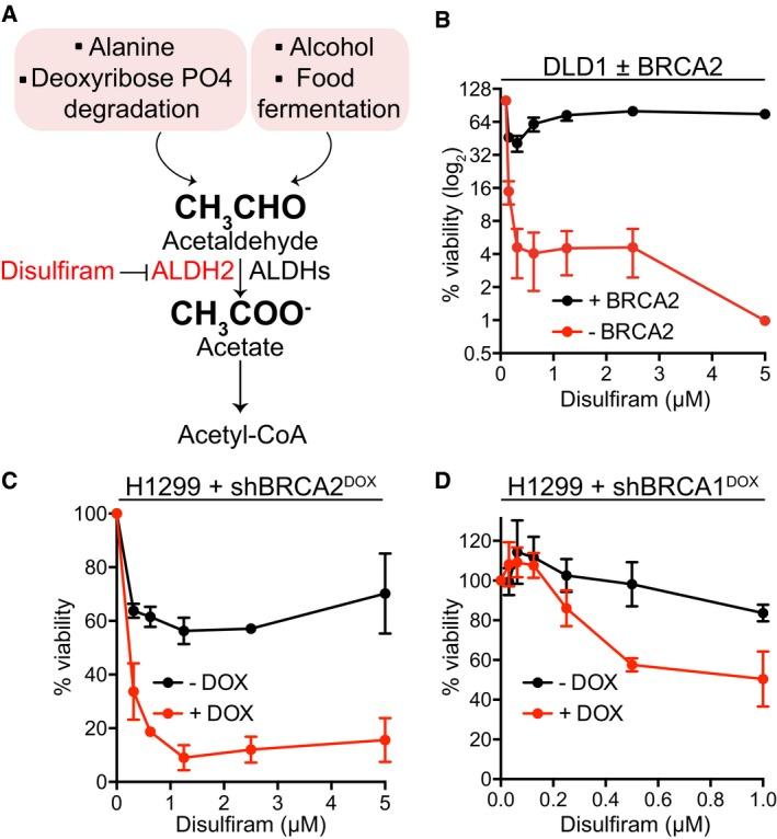 https://cdn.ncbi.nlm.nih.gov/pmc/blobs/53d7/5623864/de50ebf7d0bf/EMMM-9-1398-g004.jpg