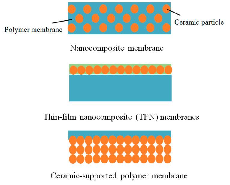 https://cdn.ncbi.nlm.nih.gov/pmc/blobs/53d7/8198361/0cdb570452d9/molecules-26-03331-g002.jpg
