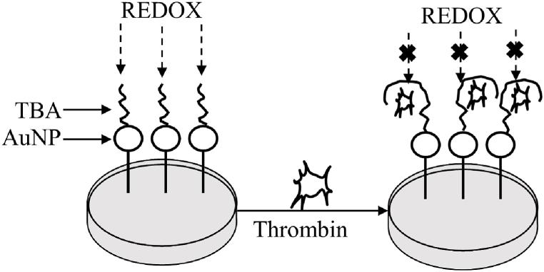 https://cdn.ncbi.nlm.nih.gov/pmc/blobs/53d8/11168482/c543e90b2be7/gr1.jpg