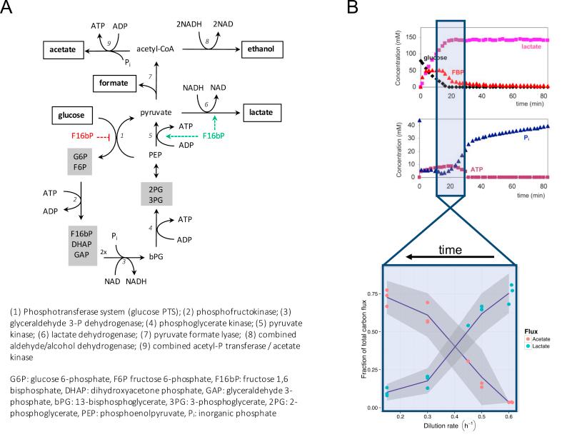 https://cdn.ncbi.nlm.nih.gov/pmc/blobs/53d9/7489361/995cd46ddac7/gr1.jpg
