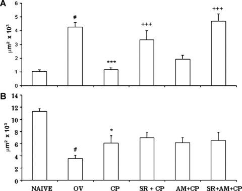 https://cdn.ncbi.nlm.nih.gov/pmc/blobs/53db/4514116/31dab52f9664/jcmm0012-2381-f3.jpg