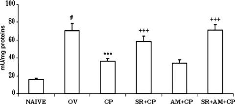 https://cdn.ncbi.nlm.nih.gov/pmc/blobs/53db/4514116/8337102f9c82/jcmm0012-2381-f5.jpg