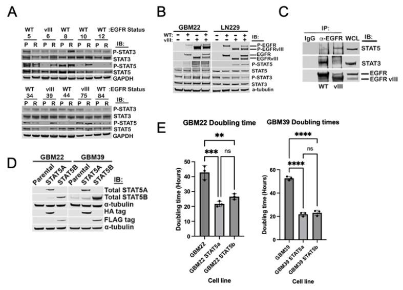 https://cdn.ncbi.nlm.nih.gov/pmc/blobs/53dc/11172708/220cef6db65e/ijms-25-06279-g001.jpg