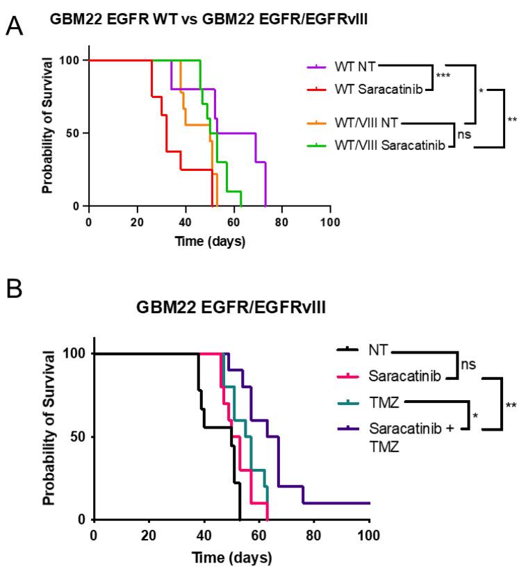 https://cdn.ncbi.nlm.nih.gov/pmc/blobs/53dc/11172708/b5c127114191/ijms-25-06279-g005.jpg