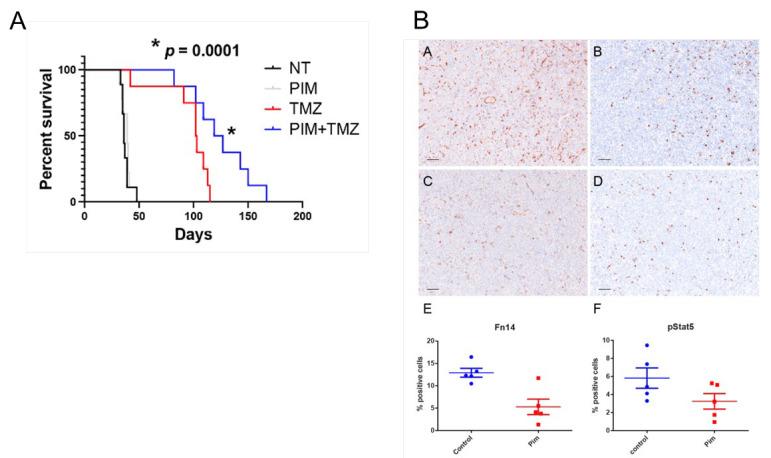 https://cdn.ncbi.nlm.nih.gov/pmc/blobs/53dc/11172708/ea9f03c2a181/ijms-25-06279-g002.jpg