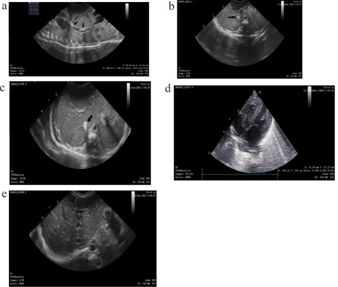 https://cdn.ncbi.nlm.nih.gov/pmc/blobs/53dc/11320773/4bd2f4b47548/13052_2024_1708_Fig2_HTML.jpg