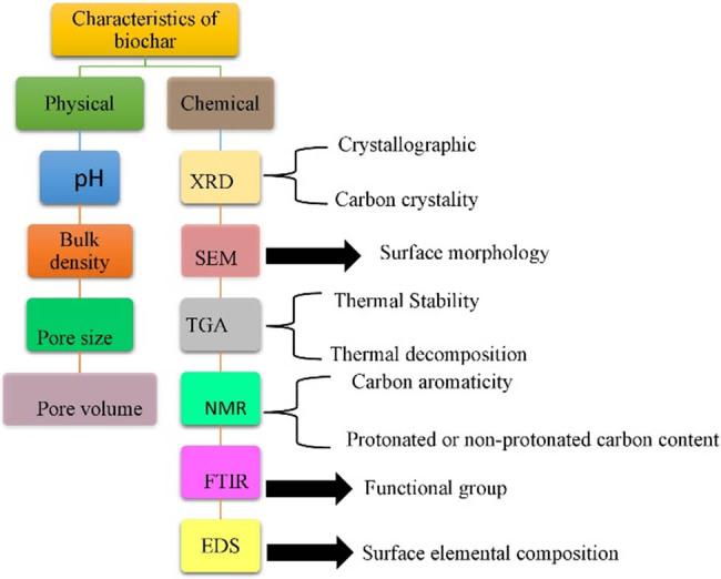 https://cdn.ncbi.nlm.nih.gov/pmc/blobs/53dd/12355368/89d70931487c/j_biol-2025-1131-fig005.jpg