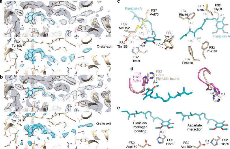 https://cdn.ncbi.nlm.nih.gov/pmc/blobs/53de/7567858/483576f5224b/41467_2020_18950_Fig2_HTML.jpg