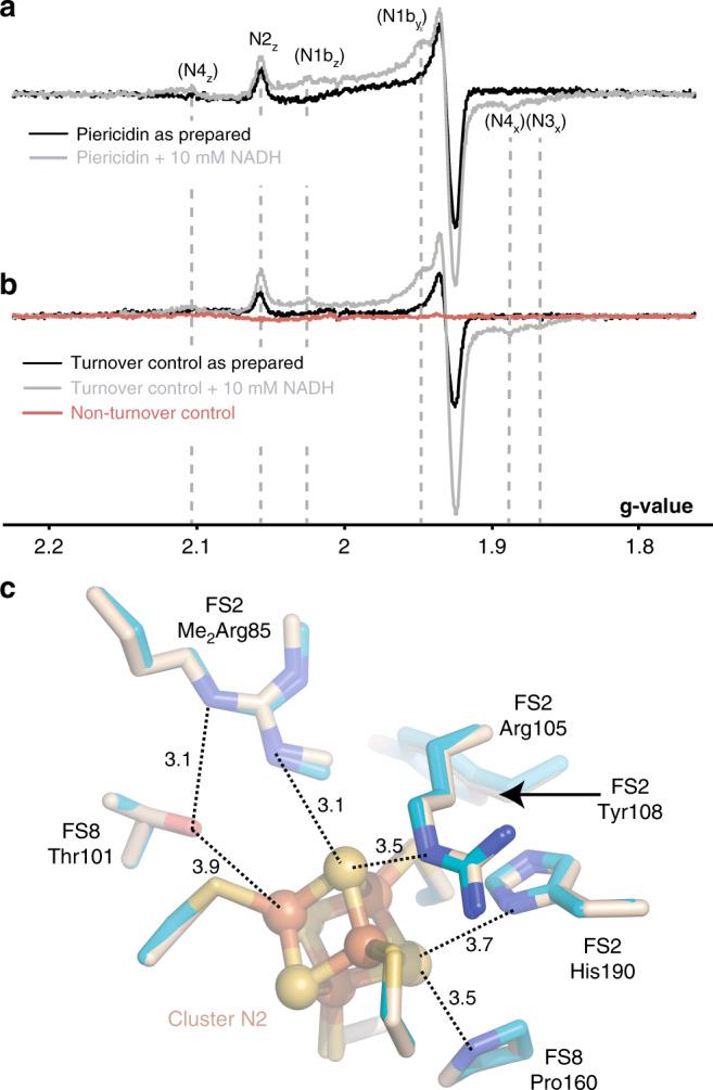 https://cdn.ncbi.nlm.nih.gov/pmc/blobs/53de/7567858/60ea03cea0df/41467_2020_18950_Fig4_HTML.jpg