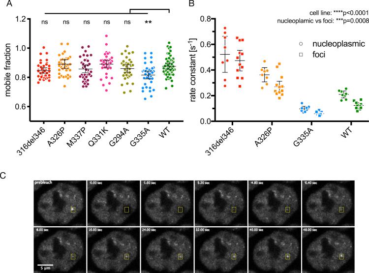 https://cdn.ncbi.nlm.nih.gov/pmc/blobs/53de/8445024/048583088d6d/figs3.jpg