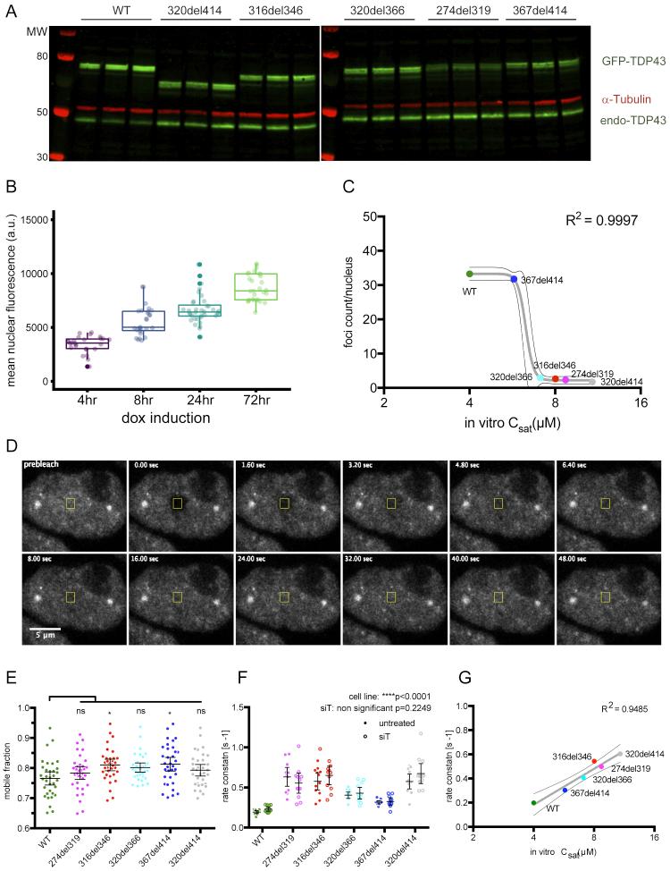 https://cdn.ncbi.nlm.nih.gov/pmc/blobs/53de/8445024/5172e1a4afd2/figs2.jpg