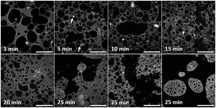 https://cdn.ncbi.nlm.nih.gov/pmc/blobs/53e5/5945812/7bcab8adf06f/fchem-06-00132-g0003.jpg