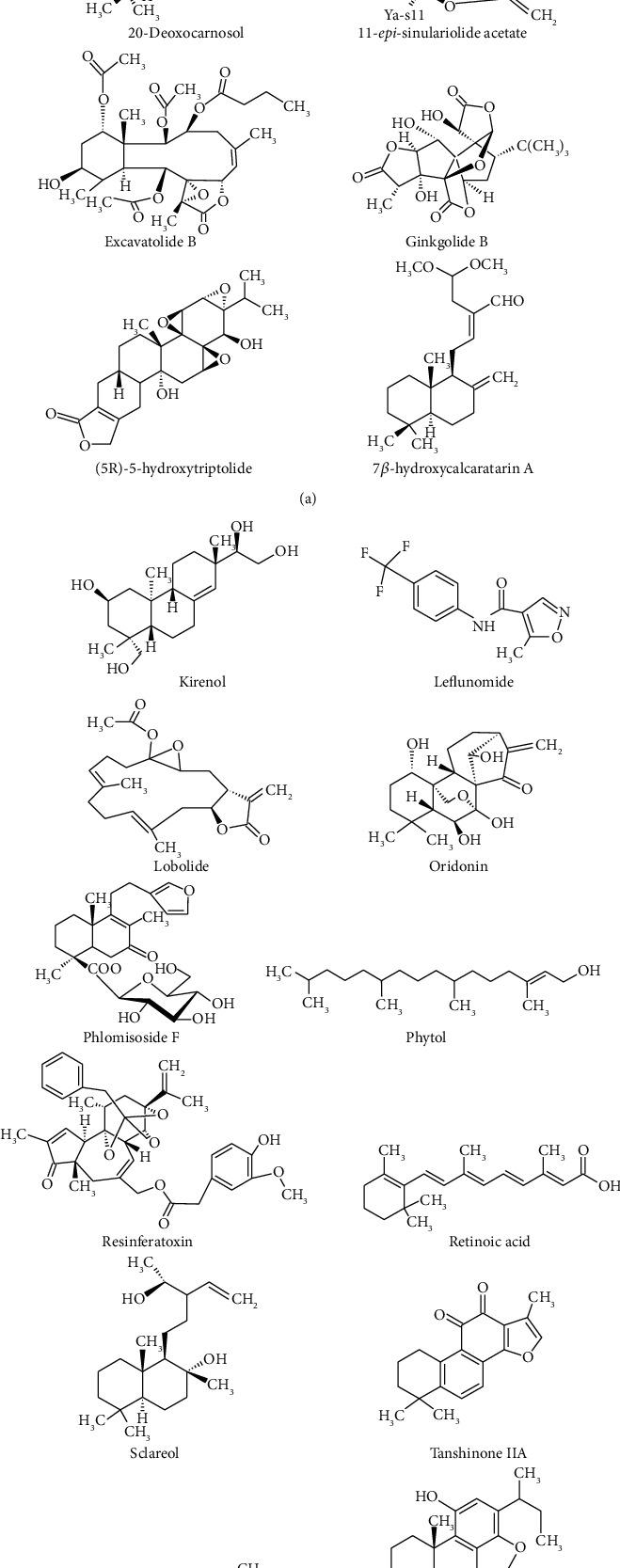 https://cdn.ncbi.nlm.nih.gov/pmc/blobs/53e5/8975657/ecd4f2f81c78/ECAM2022-4787643.004.jpg