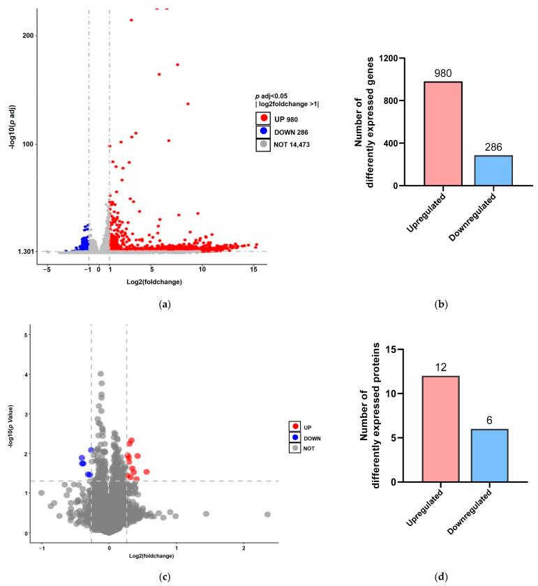 https://cdn.ncbi.nlm.nih.gov/pmc/blobs/53e8/10376434/37feda1ca188/biology-12-00908-g001.jpg