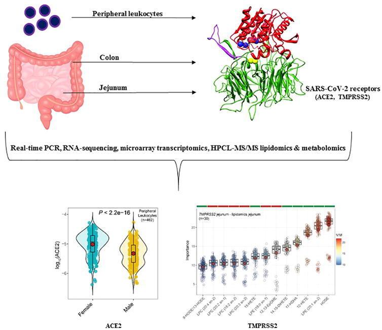 https://cdn.ncbi.nlm.nih.gov/pmc/blobs/53e8/8606304/d7ea23a6f386/ga1.jpg