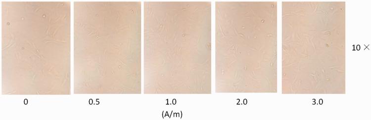 https://cdn.ncbi.nlm.nih.gov/pmc/blobs/53ea/5536647/ac72abc1493c/10.1177_0300060516683077-fig1.jpg