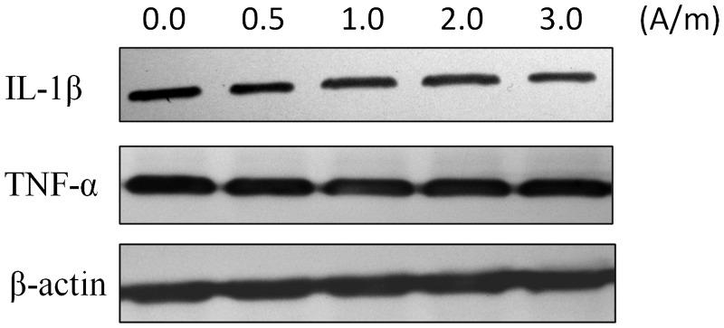 https://cdn.ncbi.nlm.nih.gov/pmc/blobs/53ea/5536647/b5e968995a66/10.1177_0300060516683077-fig3.jpg