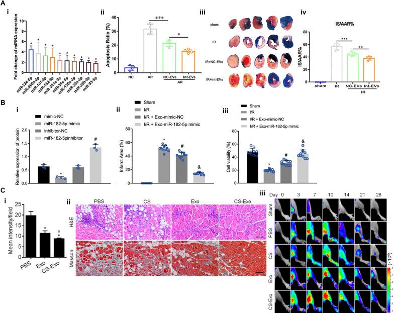 https://cdn.ncbi.nlm.nih.gov/pmc/blobs/53ec/11061094/37b814812407/40580_2024_423_Fig3_HTML.jpg