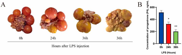 https://cdn.ncbi.nlm.nih.gov/pmc/blobs/53ee/11278936/f9d9e6092992/metabolites-14-00362-g001.jpg