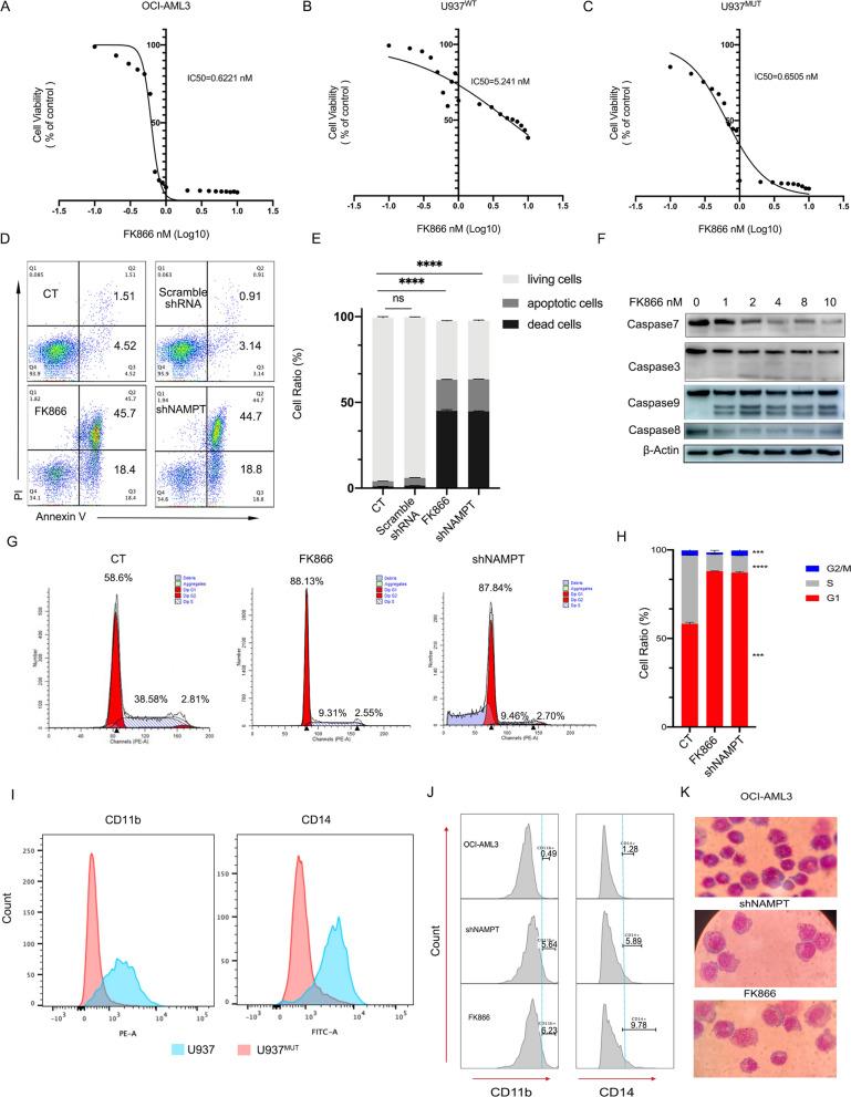 https://cdn.ncbi.nlm.nih.gov/pmc/blobs/53ef/10355022/5f25448fba3d/12967_2023_4323_Fig5_HTML.jpg