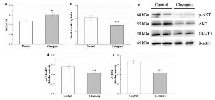 https://cdn.ncbi.nlm.nih.gov/pmc/blobs/53ef/8268139/a2a8e6bbdec3/ijms-22-06680-g007.jpg
