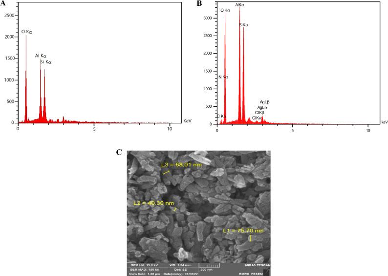 https://cdn.ncbi.nlm.nih.gov/pmc/blobs/53f0/10567680/e82d8704ac8d/41598_2023_43978_Fig3_HTML.jpg