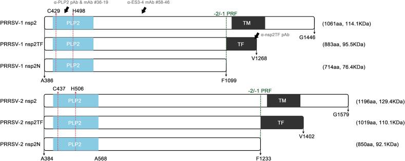https://cdn.ncbi.nlm.nih.gov/pmc/blobs/53f0/7112050/fa8c9333070f/gr1_lrg.jpg