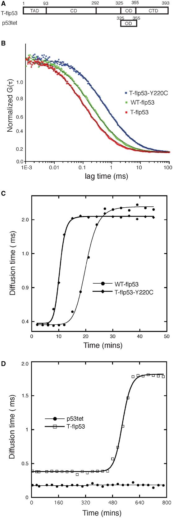 https://cdn.ncbi.nlm.nih.gov/pmc/blobs/53f1/3064802/bf8ac6125be6/gkq800f1.jpg