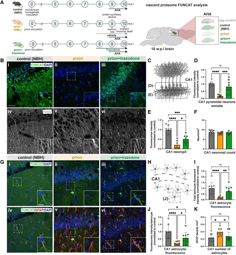 https://cdn.ncbi.nlm.nih.gov/pmc/blobs/53f6/10834243/4c4f3788ed00/awad313f1.jpg