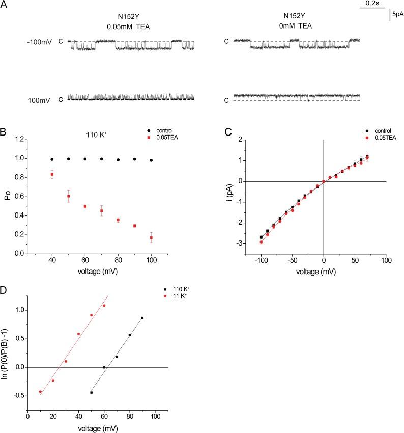 https://cdn.ncbi.nlm.nih.gov/pmc/blobs/53f6/3483120/05368b0f4288/JGP_201210835_Fig5.jpg