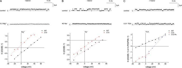 https://cdn.ncbi.nlm.nih.gov/pmc/blobs/53f6/3483120/1952465c50dc/JGP_201210835_Fig6.jpg