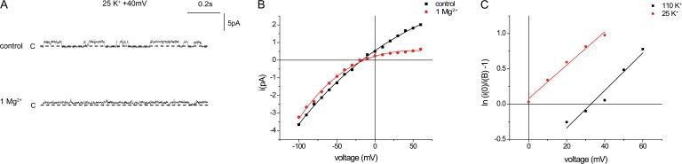 https://cdn.ncbi.nlm.nih.gov/pmc/blobs/53f6/3483120/51f92e33000a/JGP_201210835_Fig3.jpg