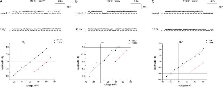 https://cdn.ncbi.nlm.nih.gov/pmc/blobs/53f6/3483120/813cb6122cc3/JGP_201210835_Fig2.jpg