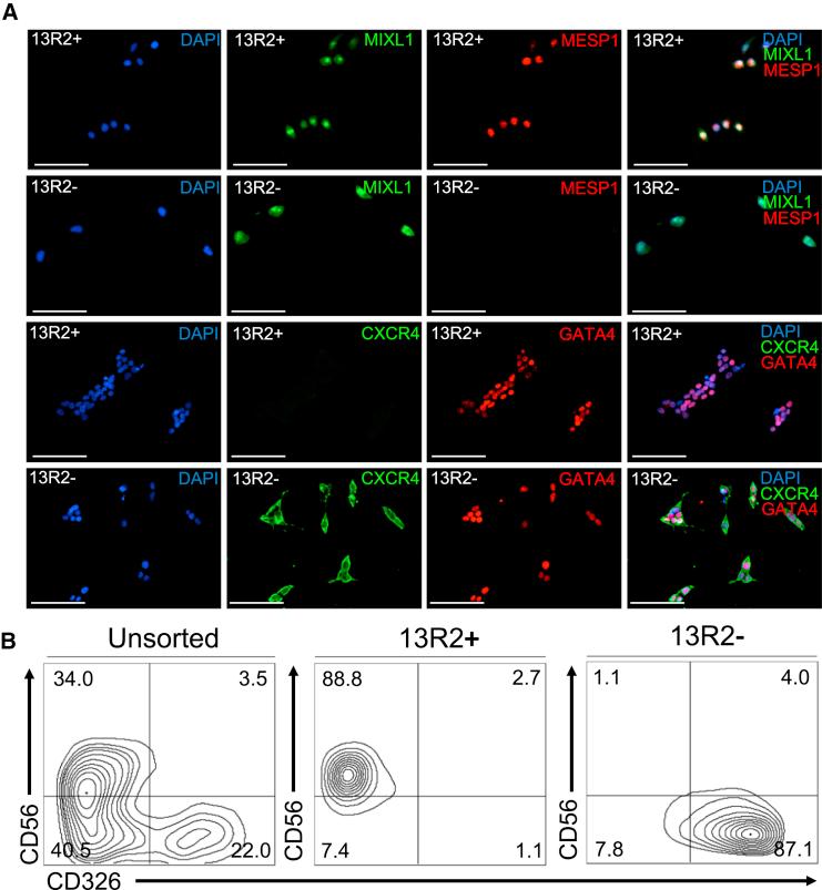 https://cdn.ncbi.nlm.nih.gov/pmc/blobs/53f7/4720015/20b855805c2c/gr3.jpg