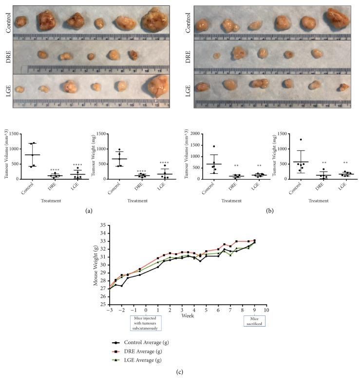 https://cdn.ncbi.nlm.nih.gov/pmc/blobs/53f7/6662490/f11d18999304/ECAM2019-2951428.006.jpg
