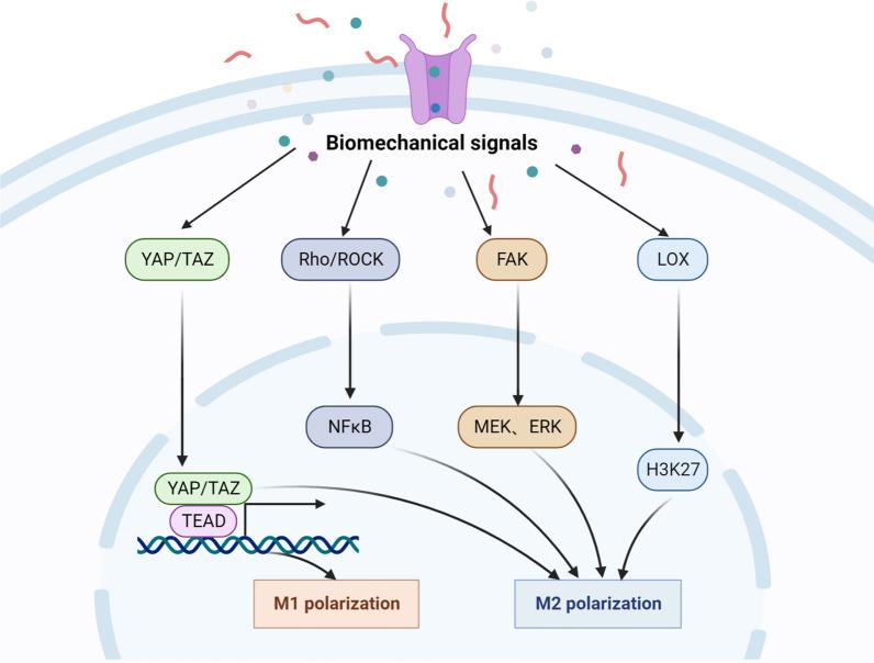 https://cdn.ncbi.nlm.nih.gov/pmc/blobs/53f9/10800063/2bf916ff7978/12967_2023_4810_Fig3_HTML.jpg