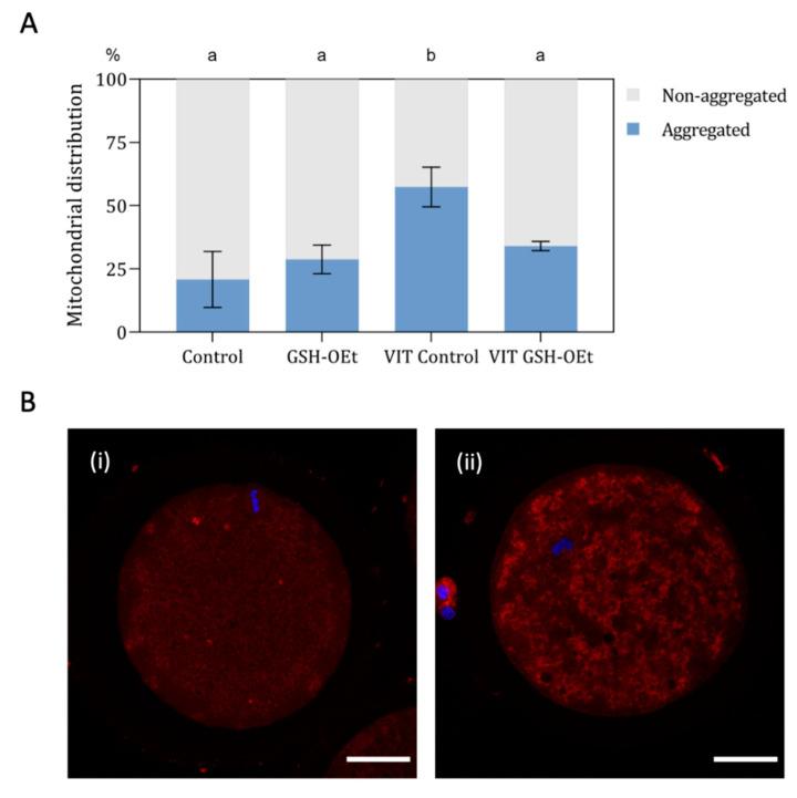 https://cdn.ncbi.nlm.nih.gov/pmc/blobs/53fc/7588878/627f158496c4/ijms-21-07547-g004.jpg