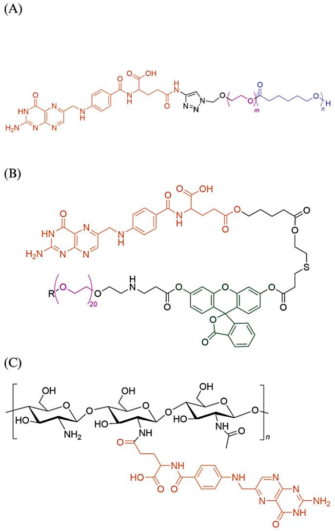 https://cdn.ncbi.nlm.nih.gov/pmc/blobs/53fd/10376941/53df6898f5b9/biomedicines-11-02080-g003.jpg